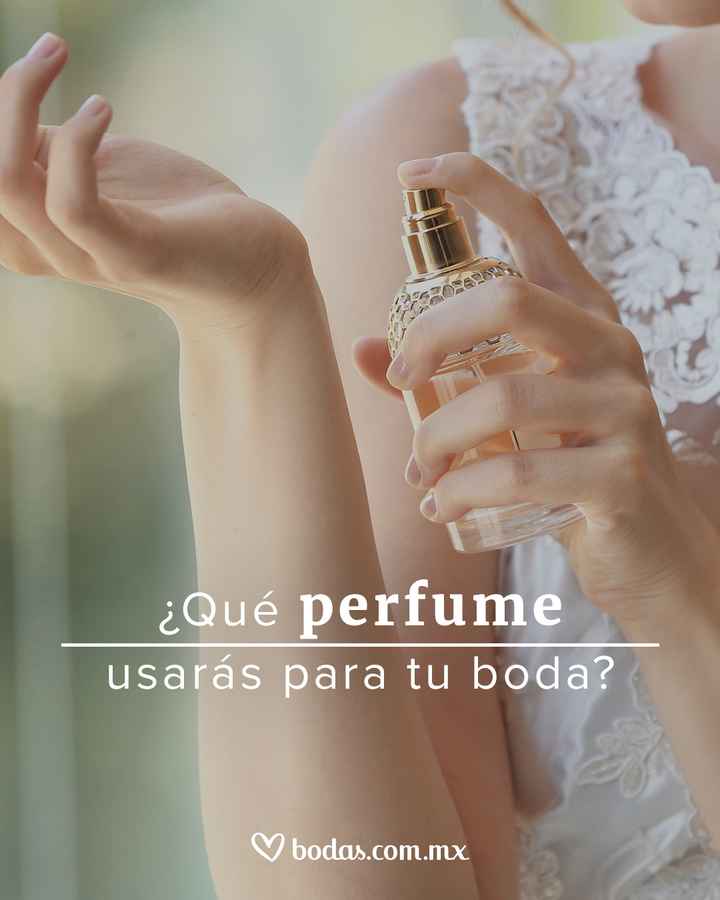 ¿Floral, frutal, amaderado? - 1
