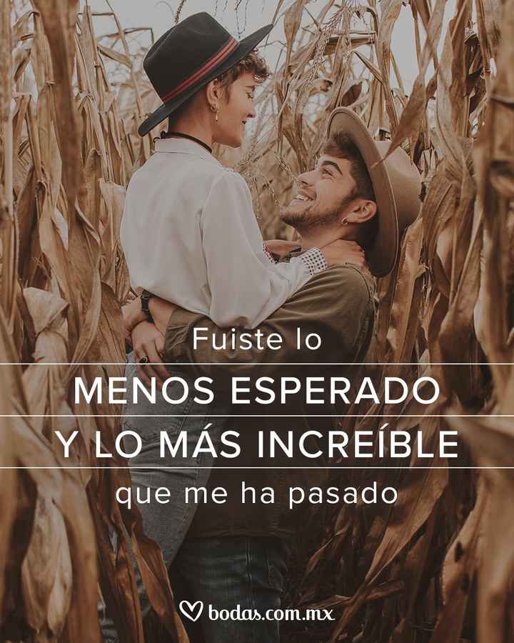 ¿Buscabas una relación o fue inesperado? - 1