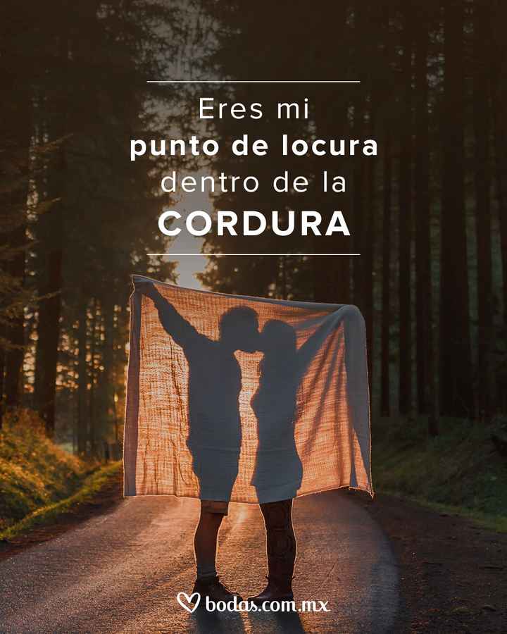 ¿Quién es tu punto de locura? - 1