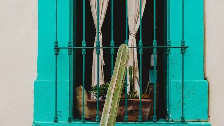 Una decoración mexicana para la casita 💚🤍❤️ - 3