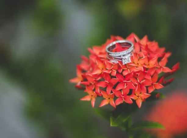 Pedida de mano sin anillo: ¿Sí o No? - 1