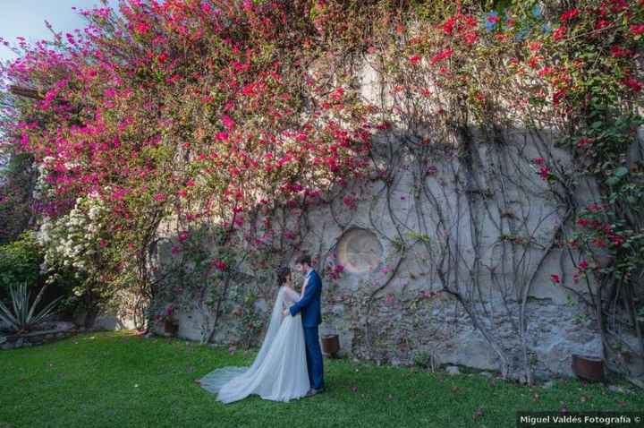 Un marco de fotos natural y hermoso 🍀 - 1