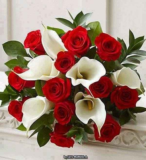  Ramos con Rosas Rojas - 1