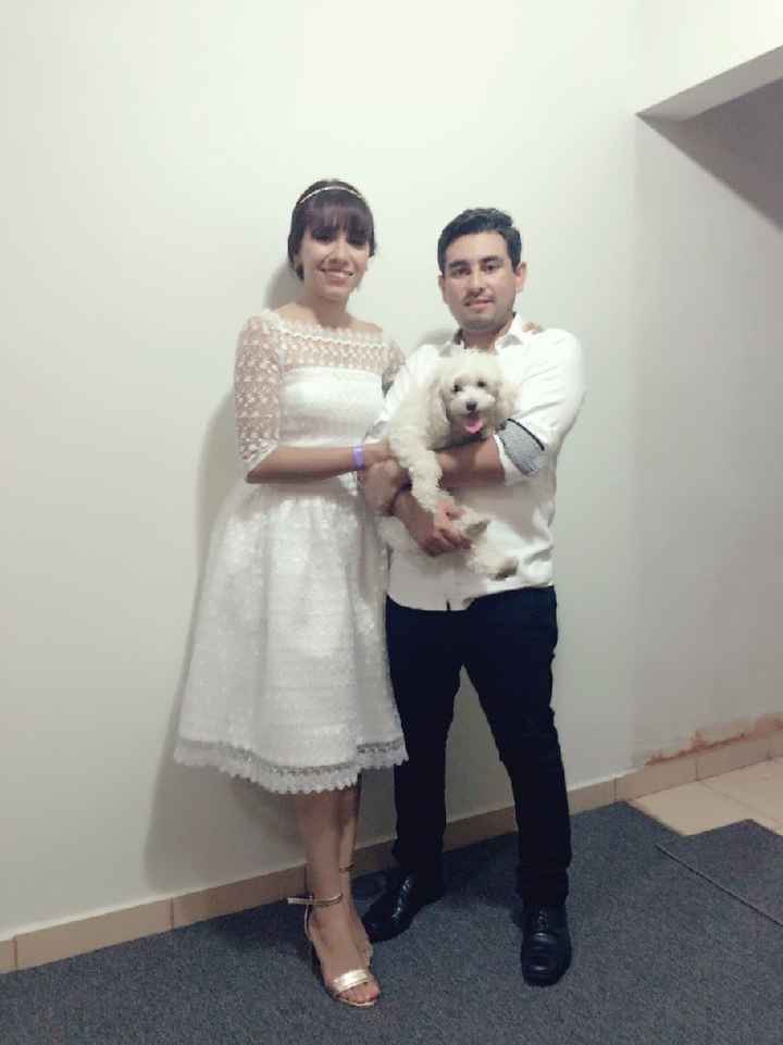 Perrhijos en la Boda 🐩💗 - 1