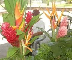 arreglos florales...