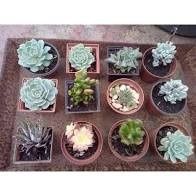 Dar o no recuerditos??? 2