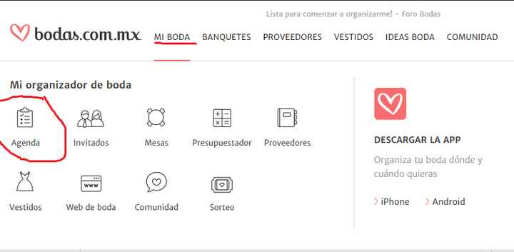 Te vas a la opción mi boda y luego en agenda ahí vas a encontrar todas las tareas :)