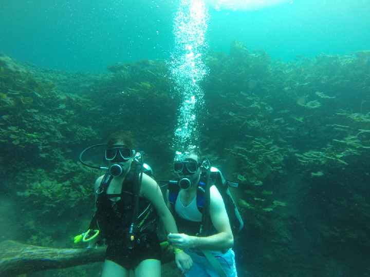 ¿Qué día fue la propuesta? - 1