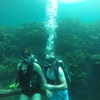 ¿Qué día fue la propuesta? - 1