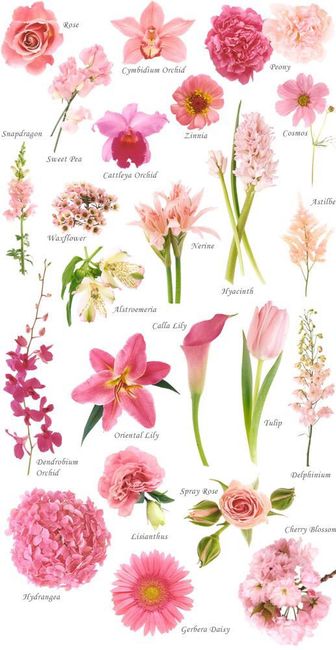 Decoración con flores en rosa 🌷 - 2