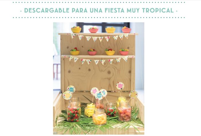 BODA BAJA RESOLUCION