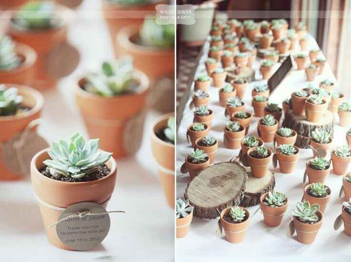 Suculentas y cactus para recuerdos de boda - 10