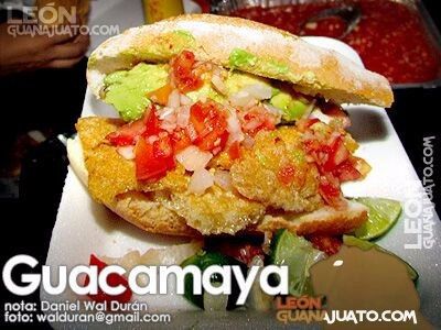 Guacamayas yuumi!