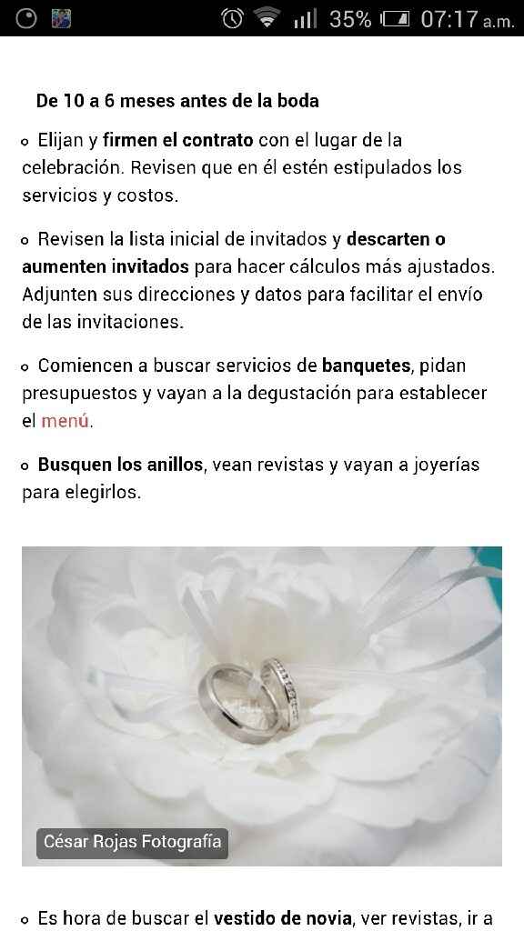 No tengo ni la menor idea de cómo organizar la boda - 3