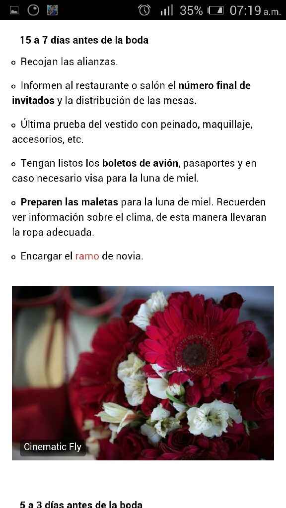 No tengo ni la menor idea de cómo organizar la boda - 8