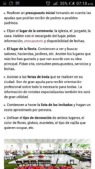 No tengo ni la menor idea de cómo organizar la boda - 2