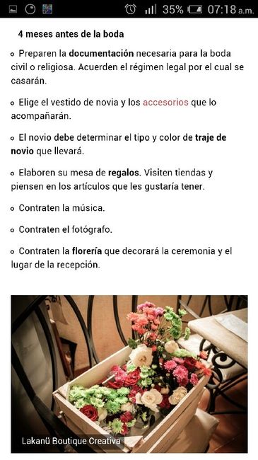 No tengo ni la menor idea de cómo organizar la boda - 5