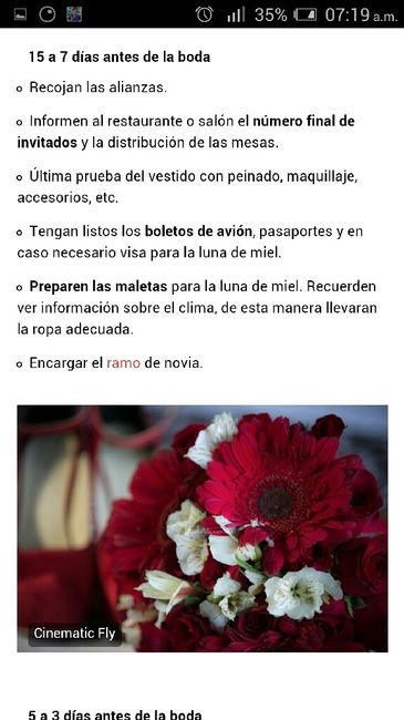 No tengo ni la menor idea de cómo organizar la boda - 8