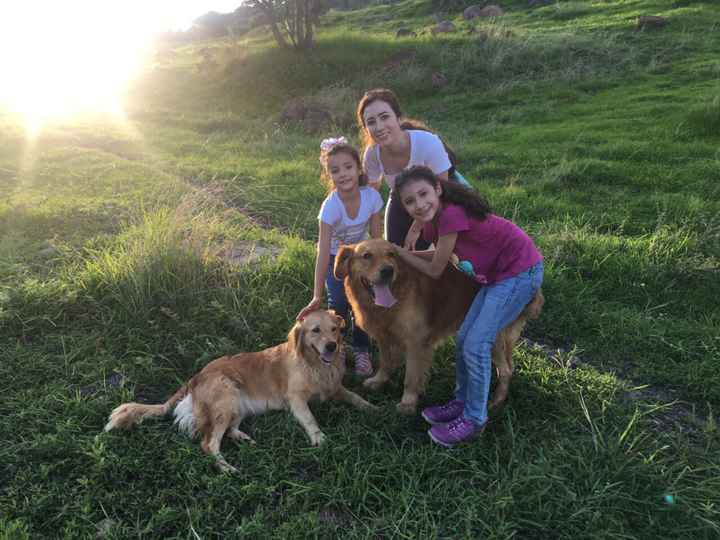 ¿Vas a llevar tu perro/gato a la boda? 🐶🐱 - 1