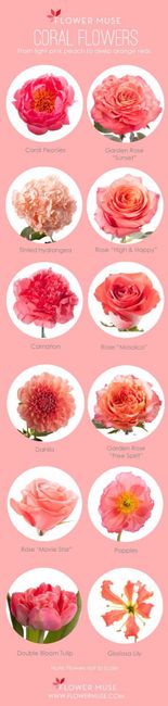  Flores color peach - 1