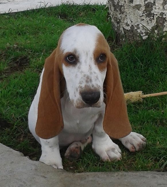 mi hermoso angelito...