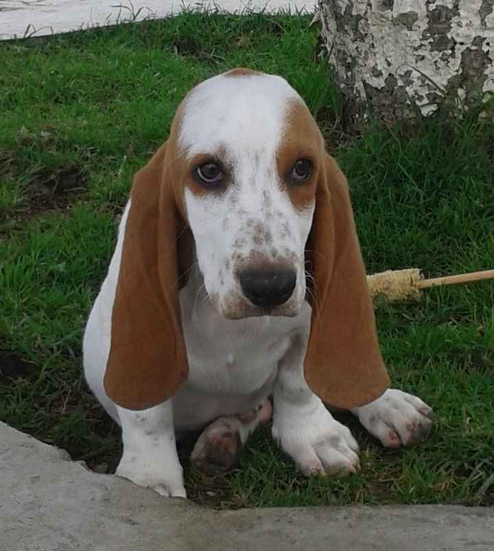 mi hermoso angelito...