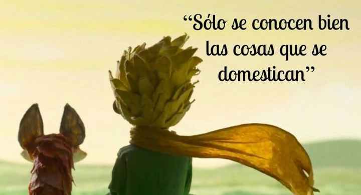 ¿por que amas a quien amas? - 3