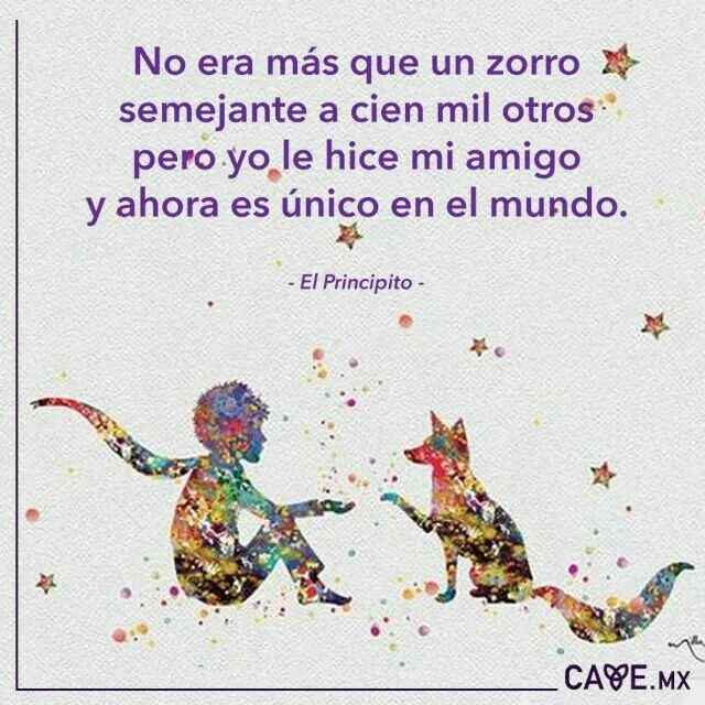 ¿por que amas a quien amas? - 4