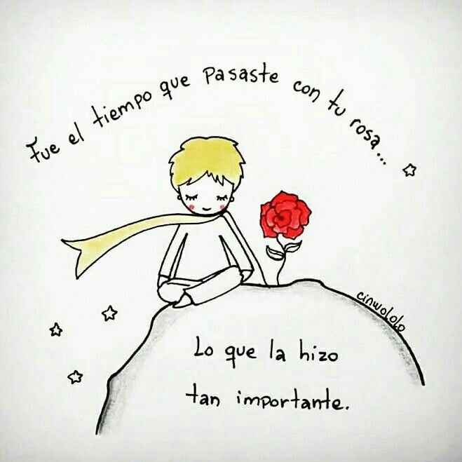 ¿por que amas a quien amas? - 5