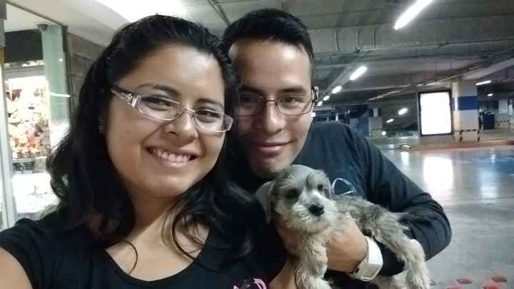 La familia se hace más grande