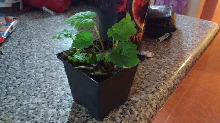 El símbolo de nuestro amor