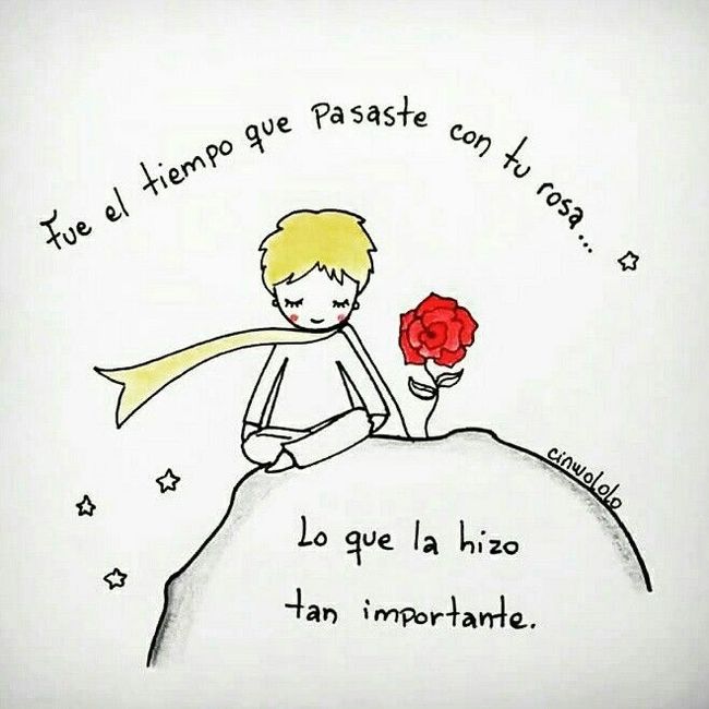 ¿por que amas a quien amas? - 5