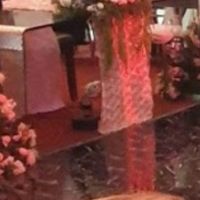 José Manuel Muñoz Belmont proveedor de flores es un estafador, ratero!!! - 5