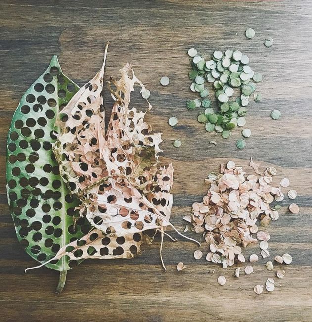 Que aventar saliendo De la Iglesia 4