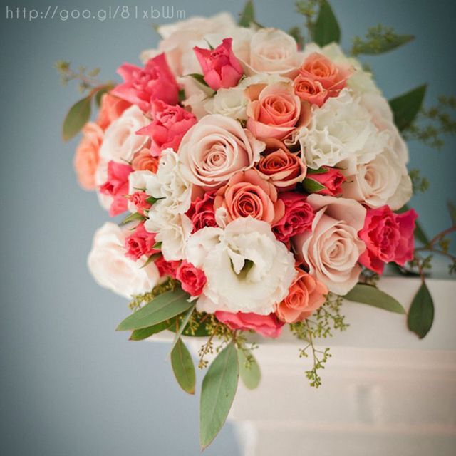 Temática para el gran día B ?? Help me D: - 1