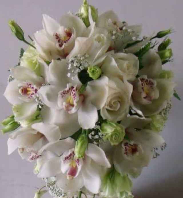 Me dan su opinión del ramo??? - 2