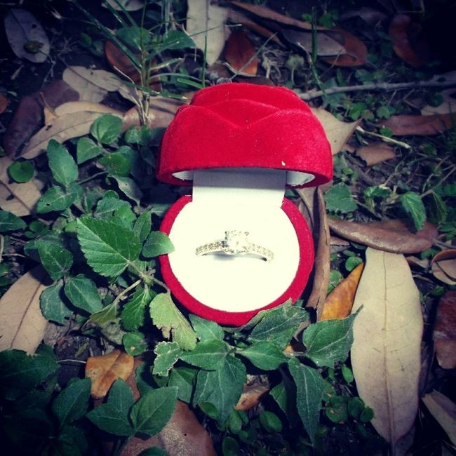 Presuman sus anillos! - 1