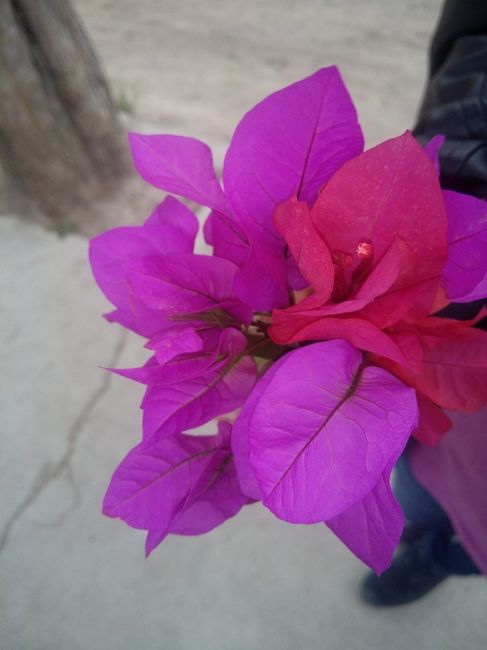Colores para la boda - 2
