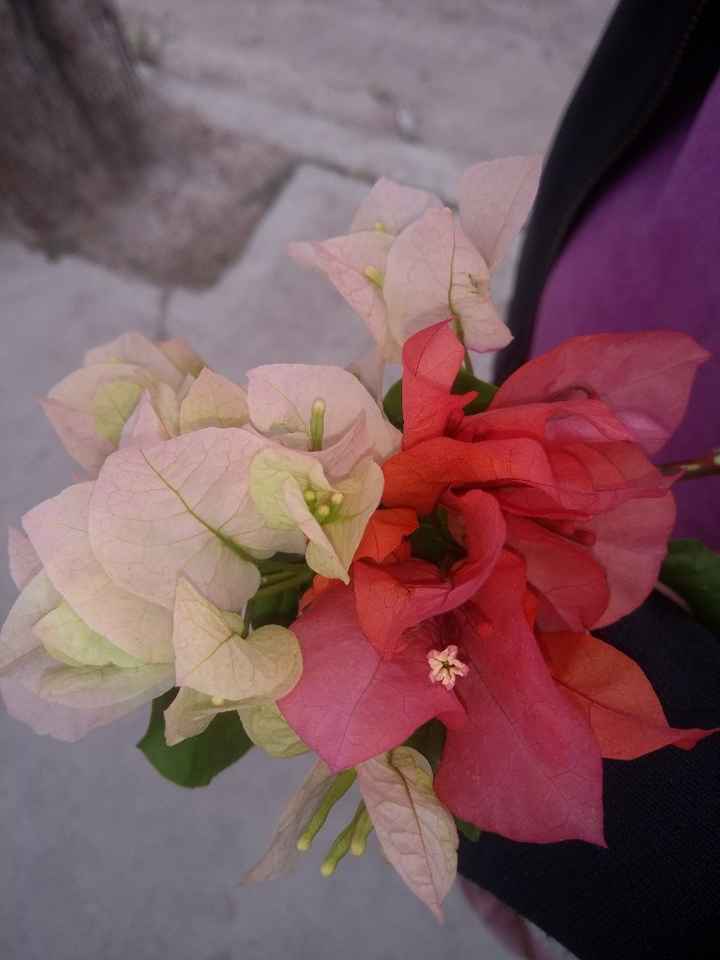 Colores para la boda - 1
