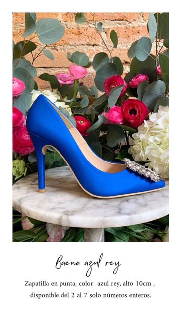 👠 zapatos para el gran día. - 4