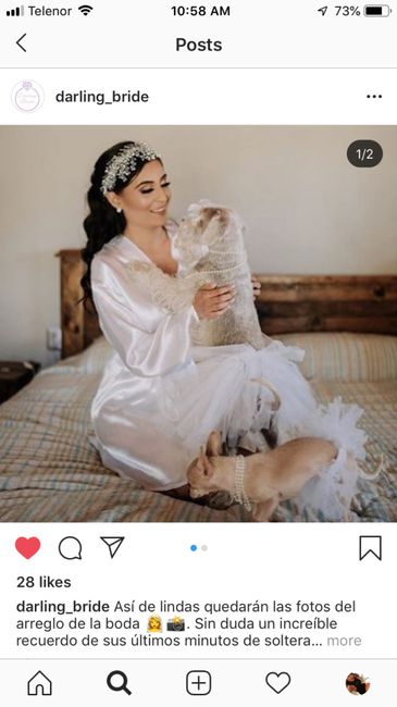 Batas para damas de honor - 3