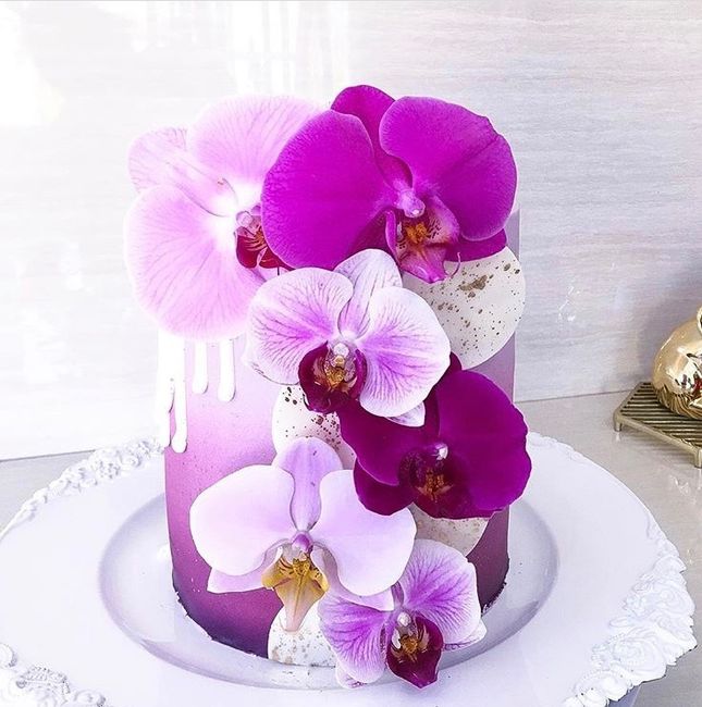 Proveedor de Pastel 🎂 🍰 - 6