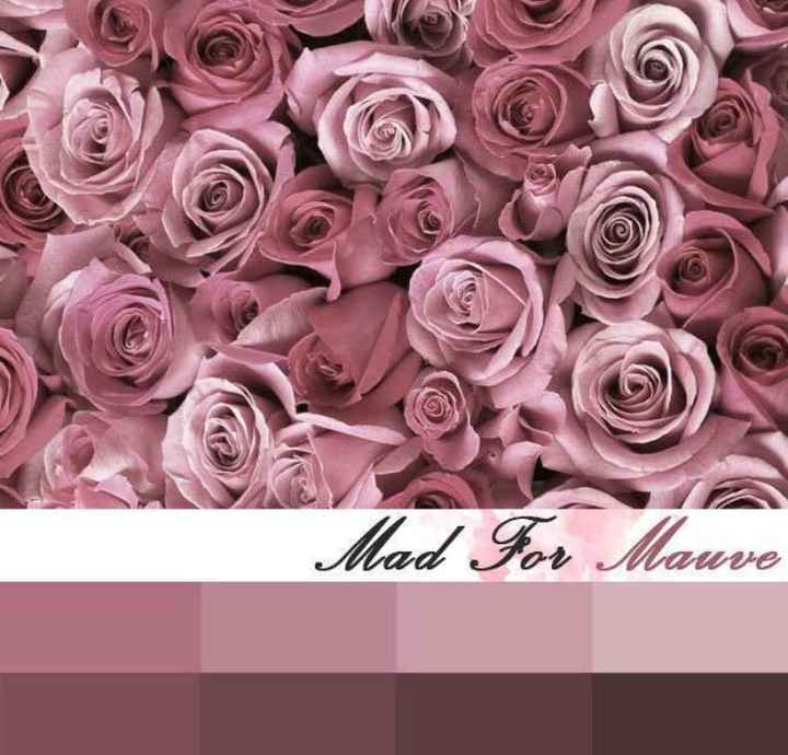  2018 , el color de las bridesmaids 👗 - 7