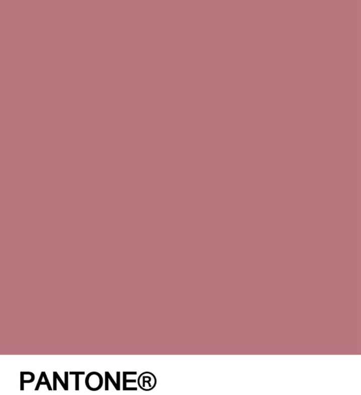  Este es el color en tendencia - 2