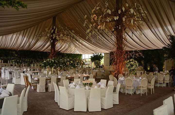 Salón o jardin - 2