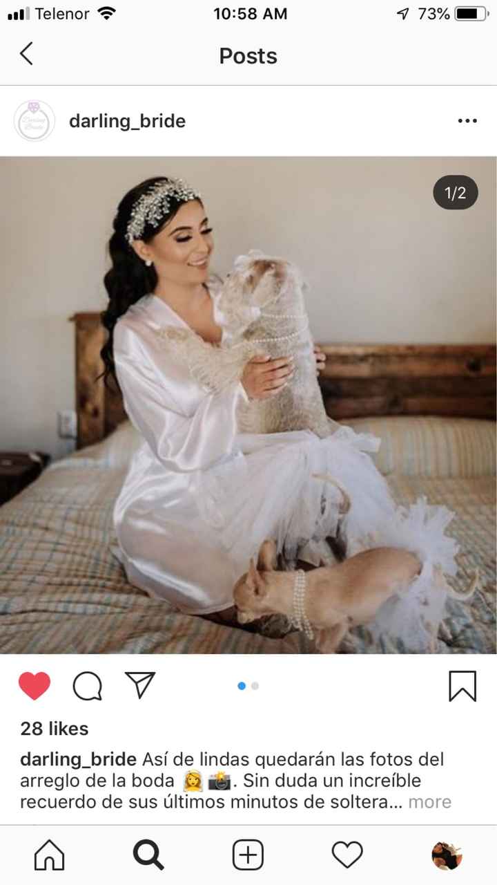 Batas para damas de honor - 3
