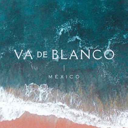 Va de blanco /// vestidos 👗 de novia 👰🏽 16