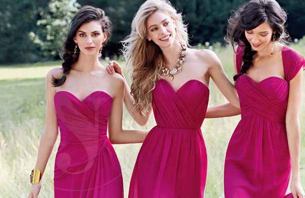 Damas bugambilia 
