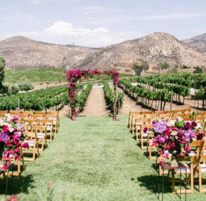 Boda en un viñedo / vineyards wedding - 2