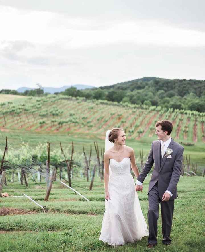 Boda en un viñedo / vineyards wedding - 9